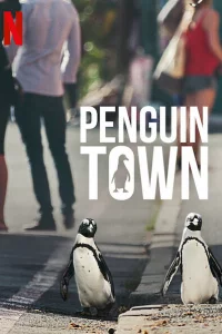  Город пингвинов 